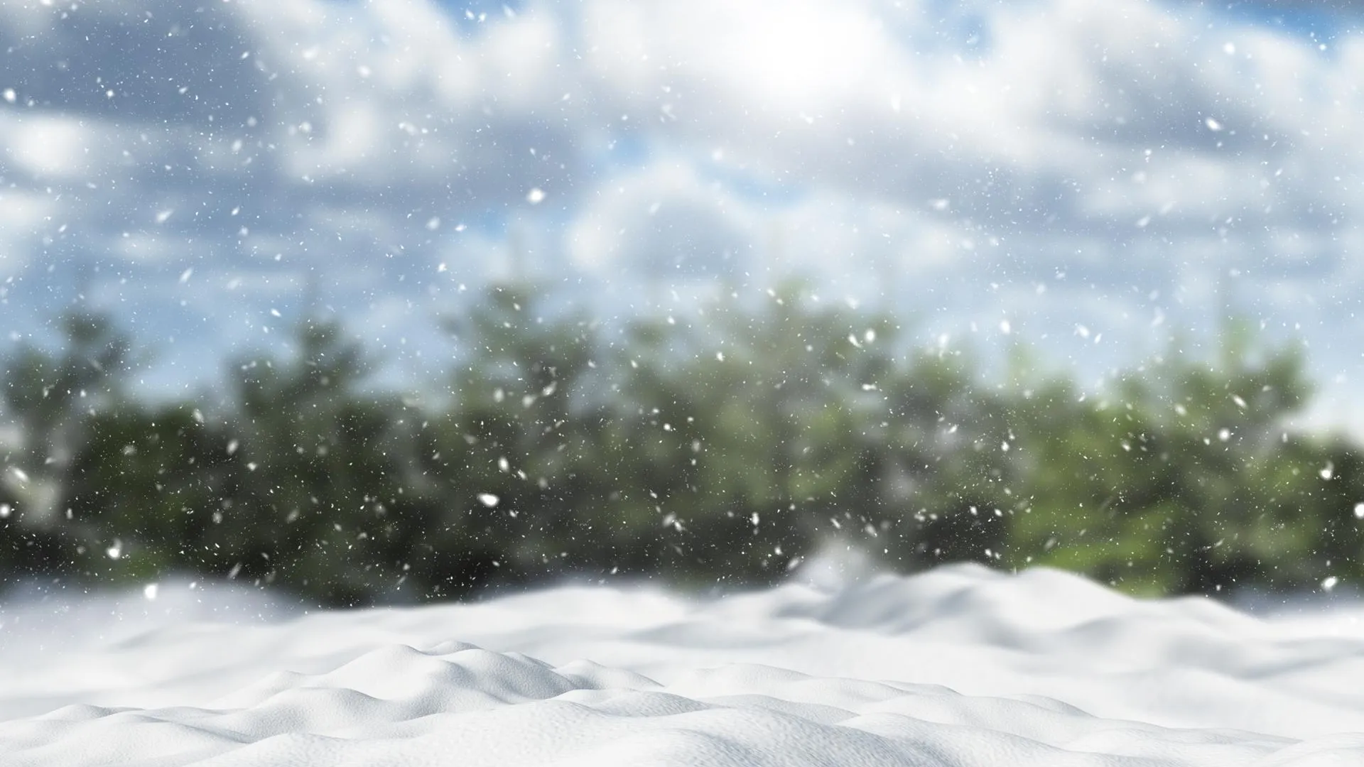 фото: из архива «ЭВ»