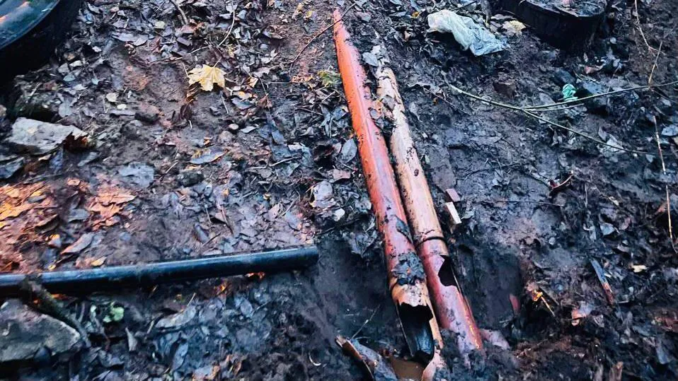 Фото: телеграм-канал администрации г. о. Пушкинский