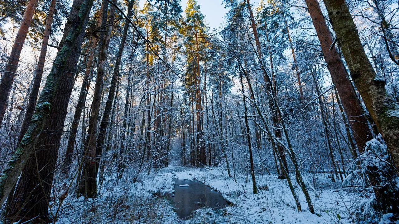 медиасток.рф