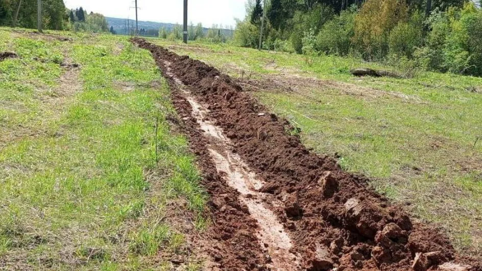 Фото: Комлесхоз МО