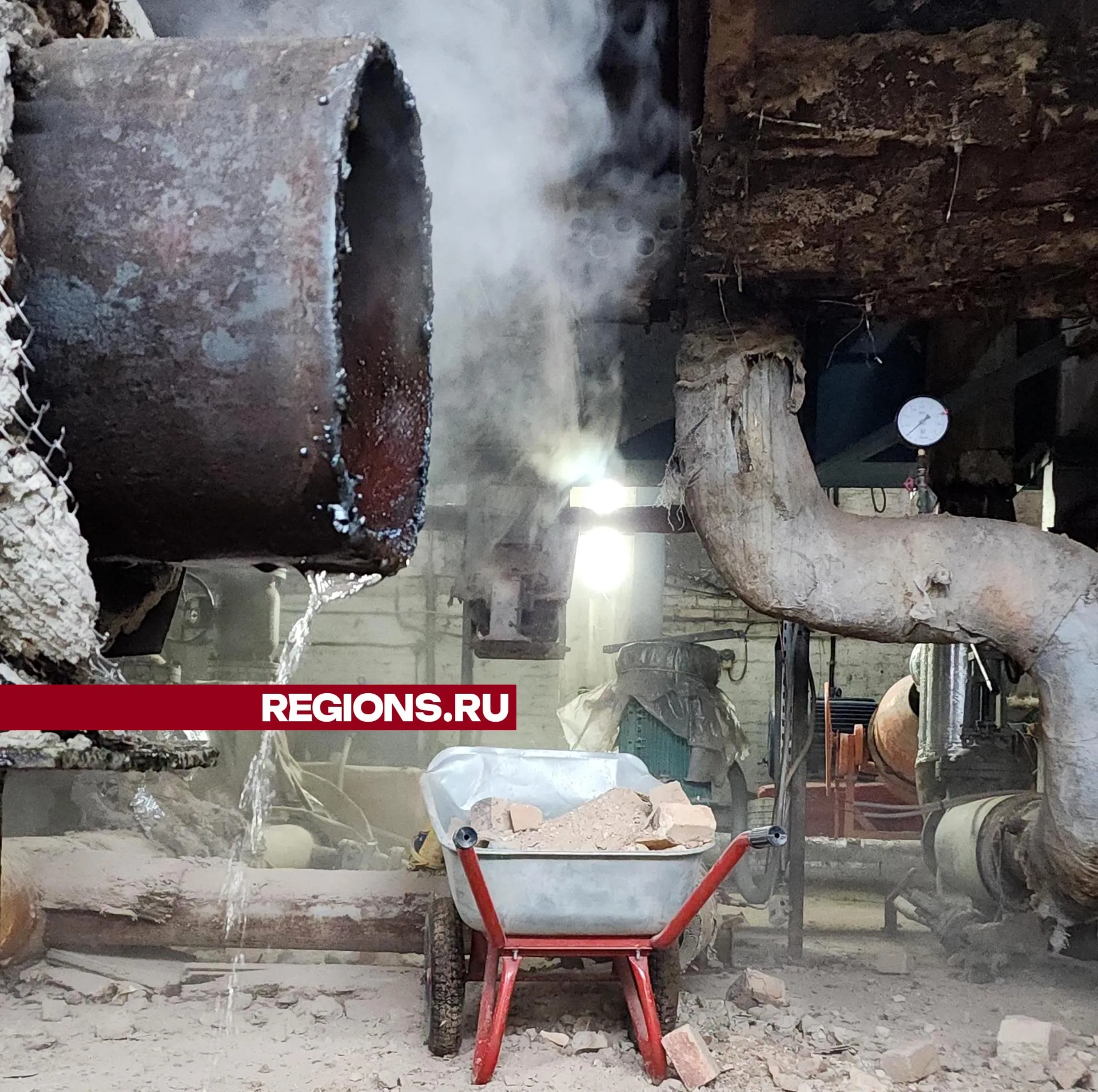 Фото: Нина Басистая