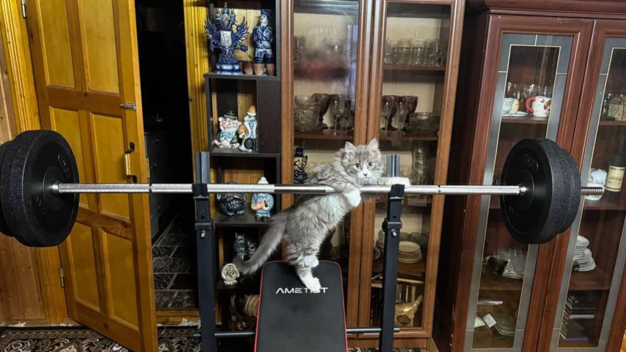 Фото: пресс-служба администрации Талдомского г.о.