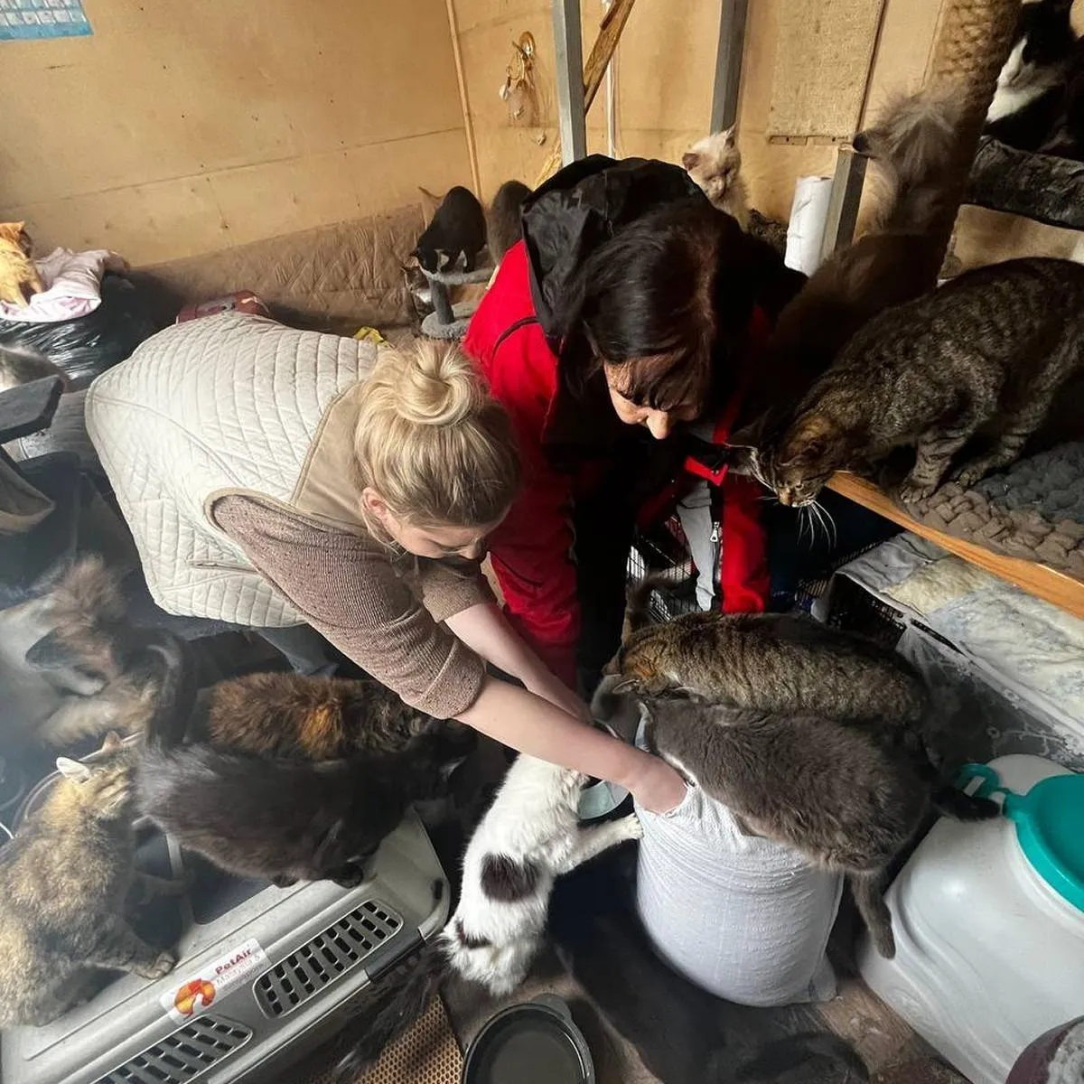 Фото: Елена Шумакова