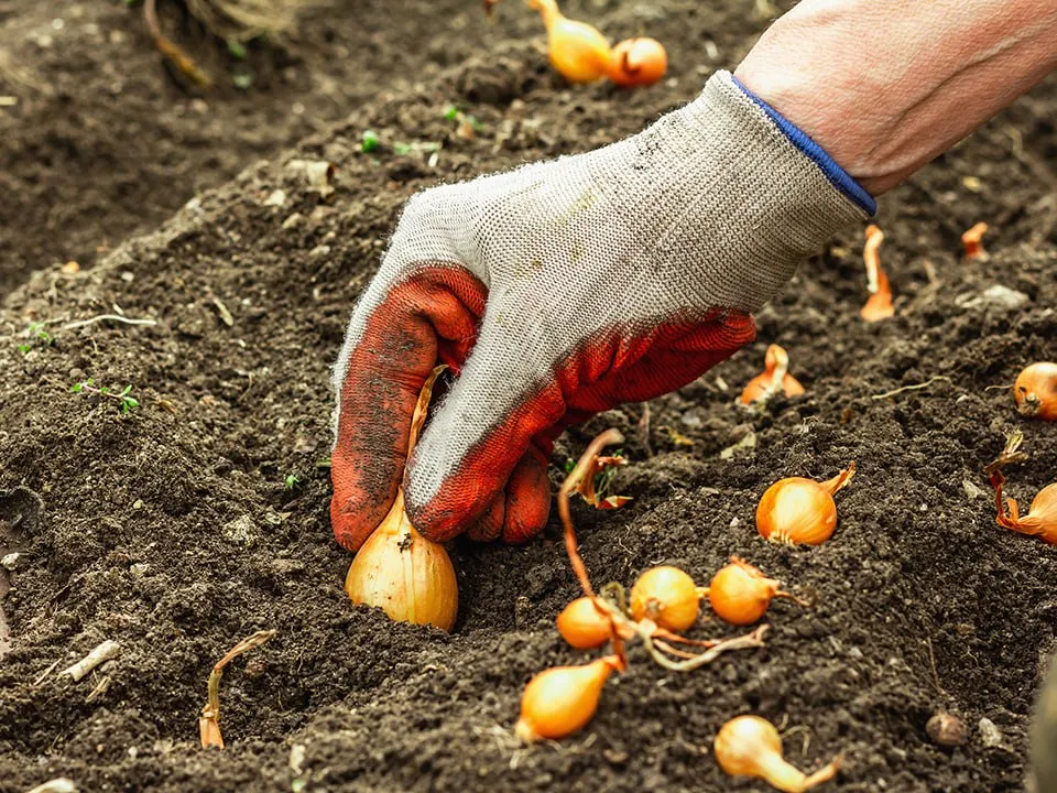 Фото: istockphoto.com