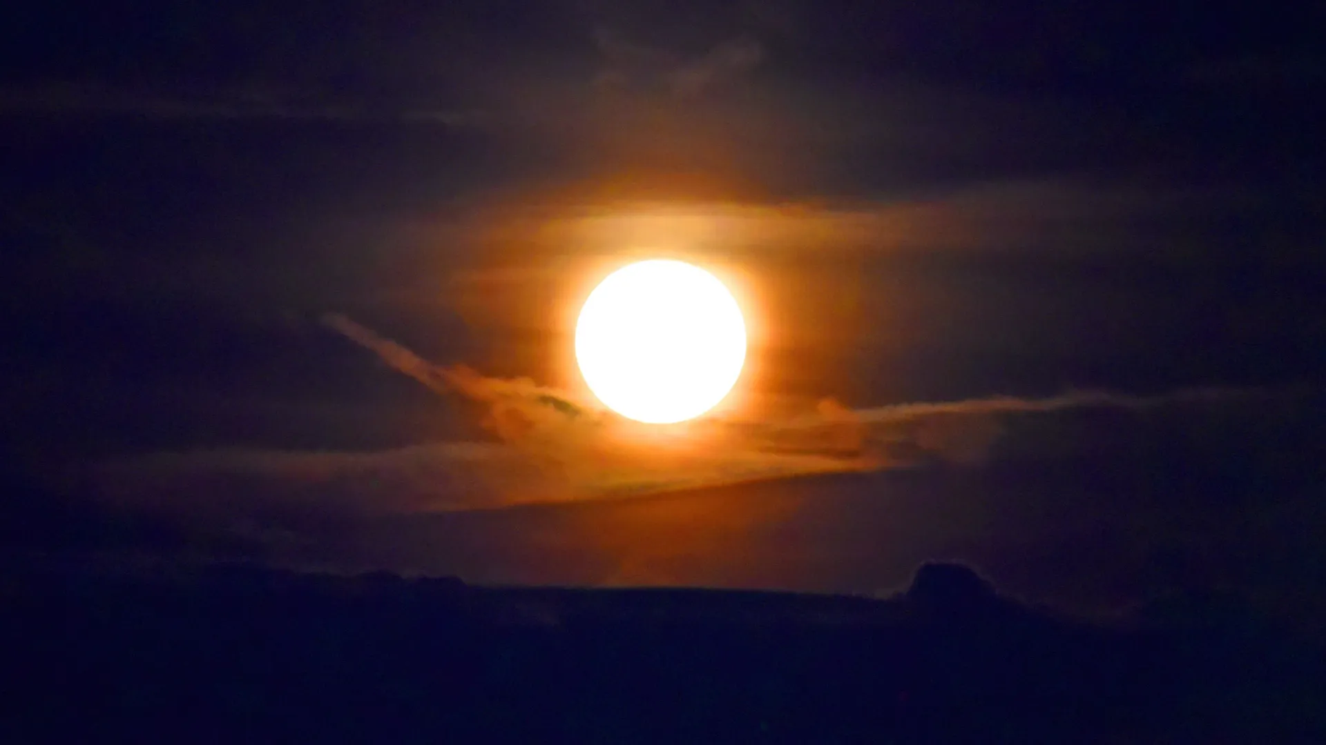 Фото: МедиаБанк Подмосковья/Добрынина Галина