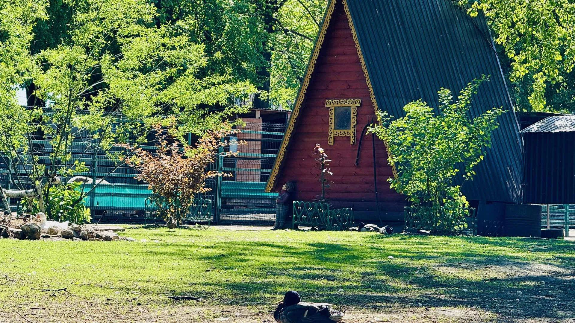 Фото: Ольга Стаферова