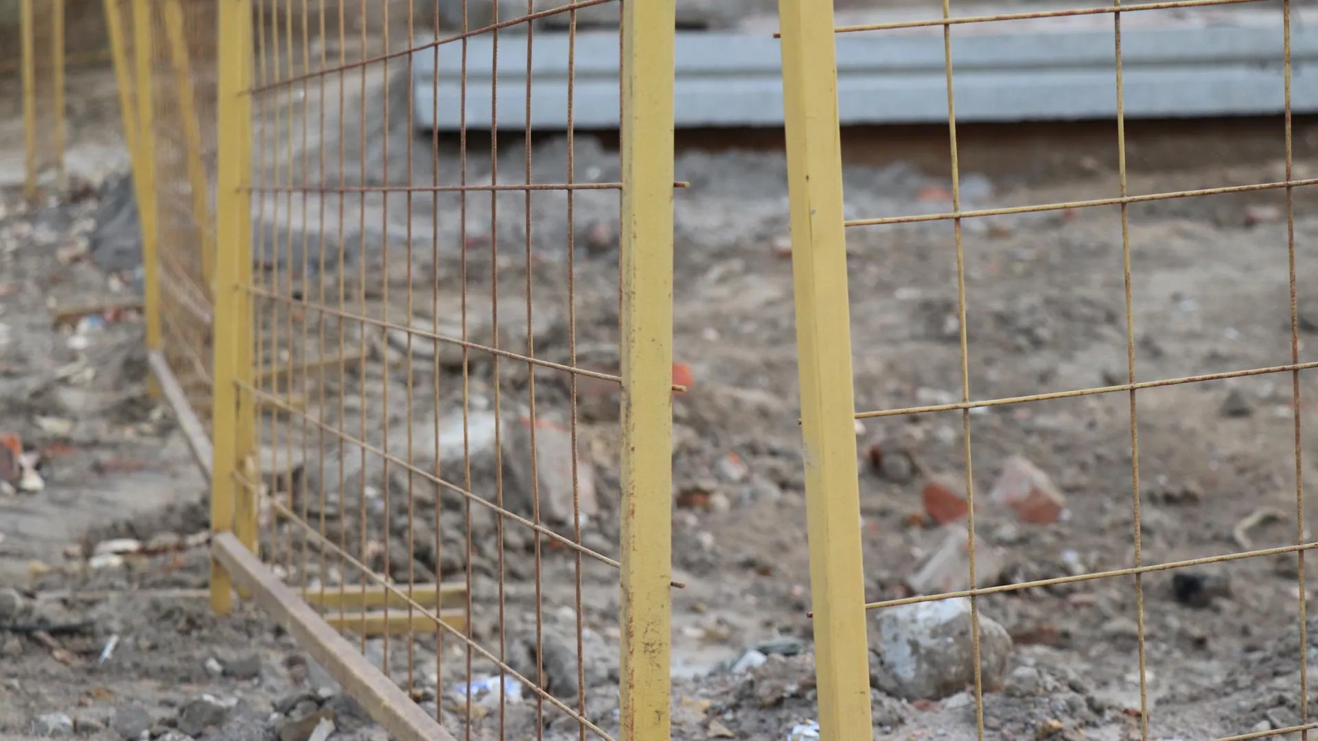 Фото: Василий Тремасов