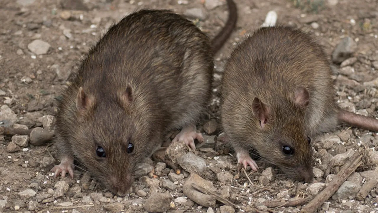 istockphoto.com/Victorburnside