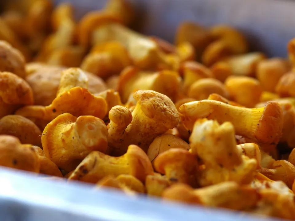 Фото: pxhere.com