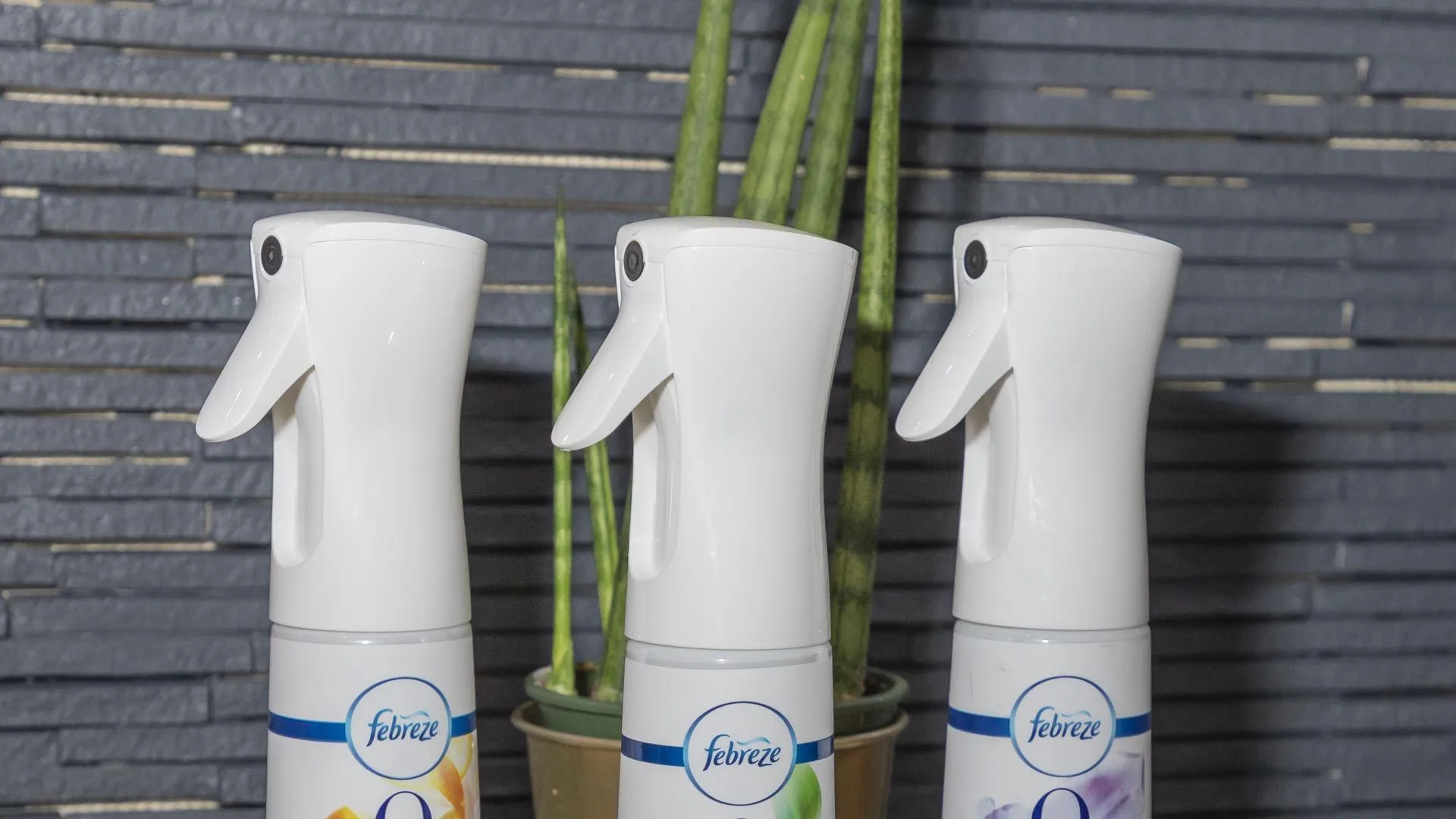 Sam Aronov/ZUMAPRESS.com