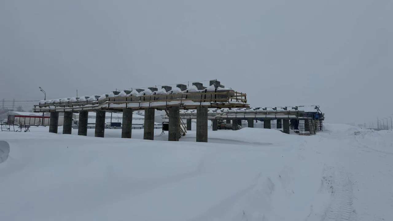 Полина Абраменко