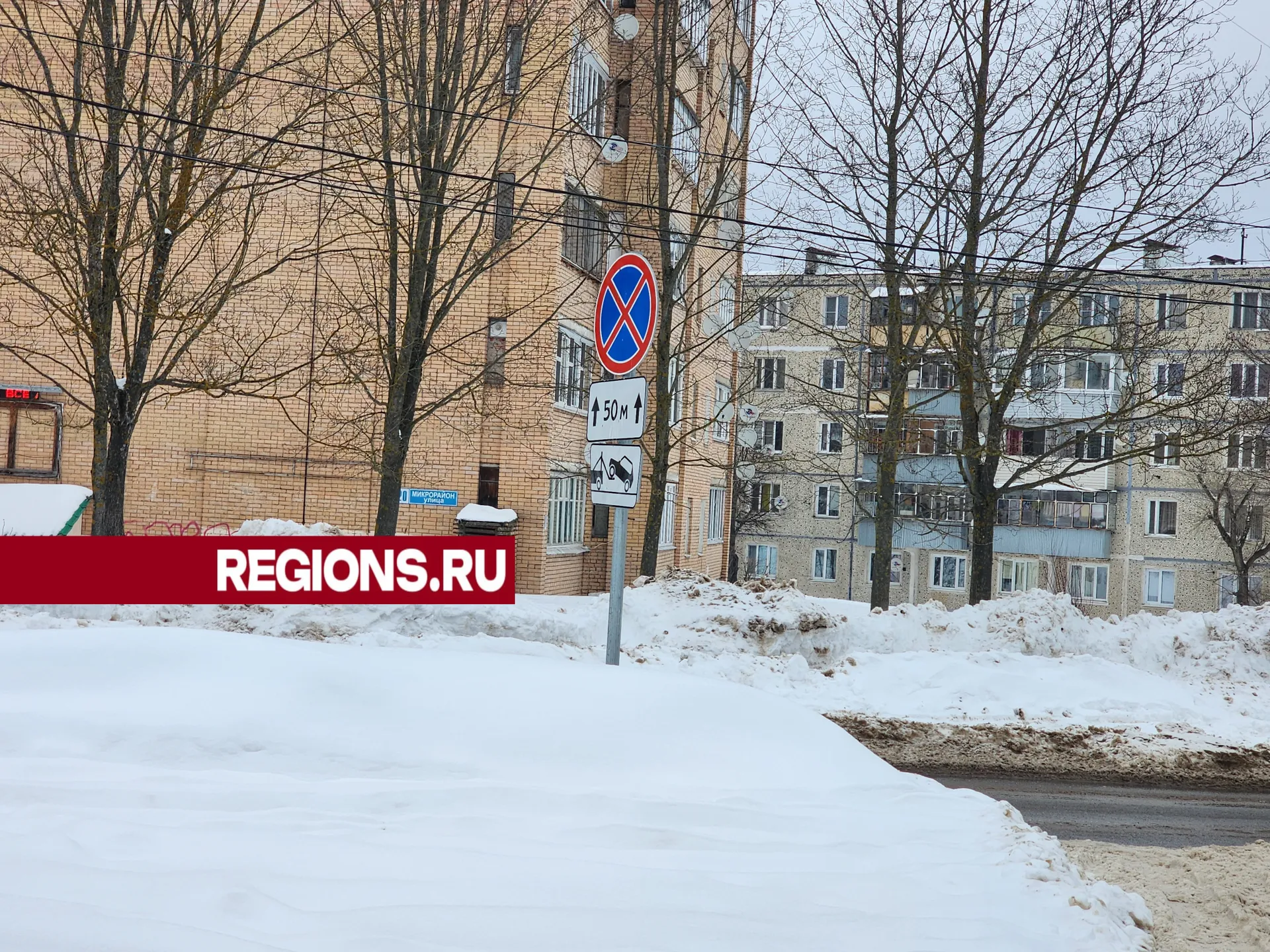 Фото: Светлана Борщева