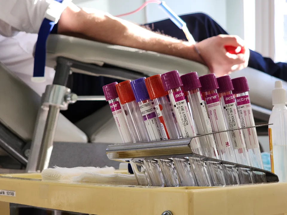 Фото: МедиаБанк Подмосковья/Юлия Андросова