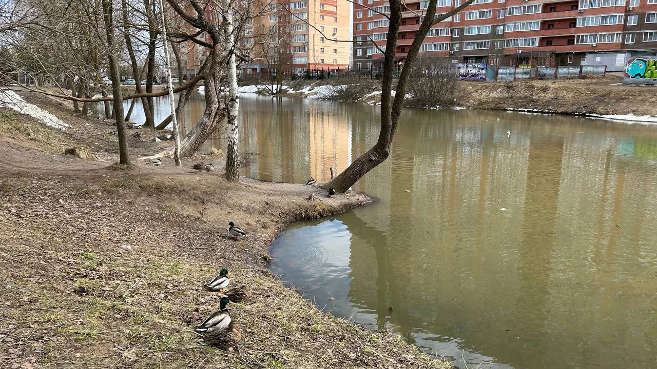 Фото: t.me/severnypark