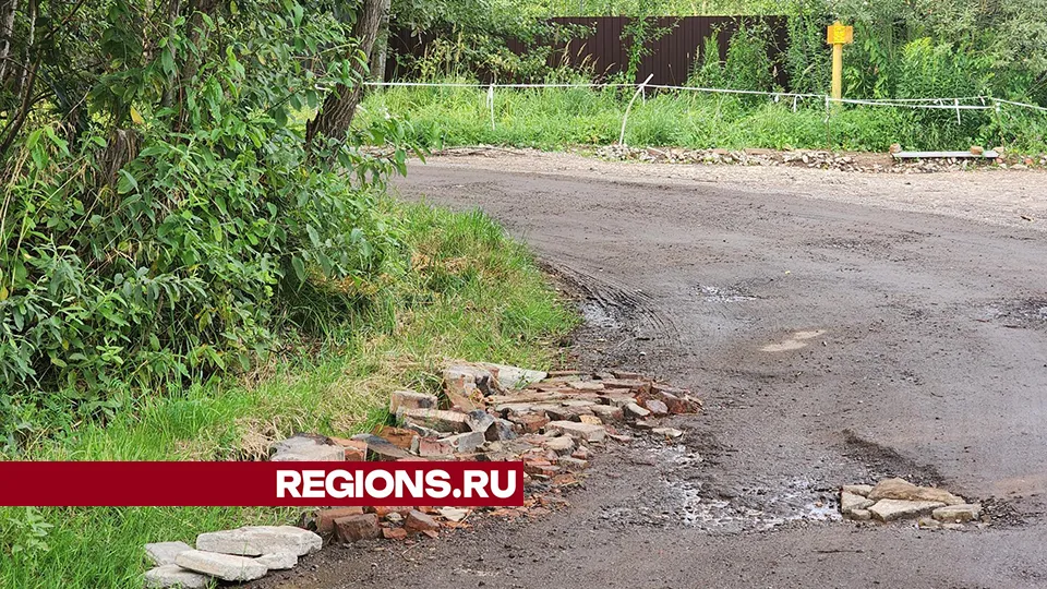 Фото: Роман Савельев