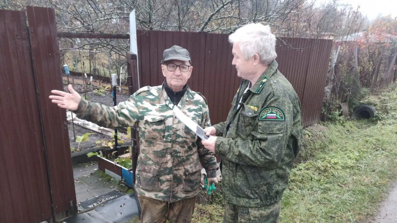 Комитет лесного хозяйства Московской области