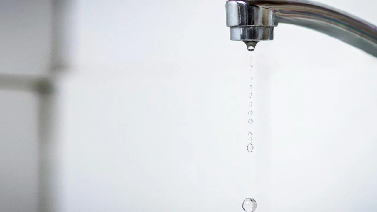 Фото: пресс-служба Администрации г.о. Кашира