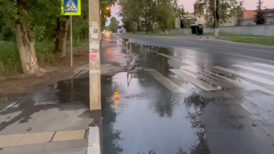 Фото: t.me/dmitrov_detka