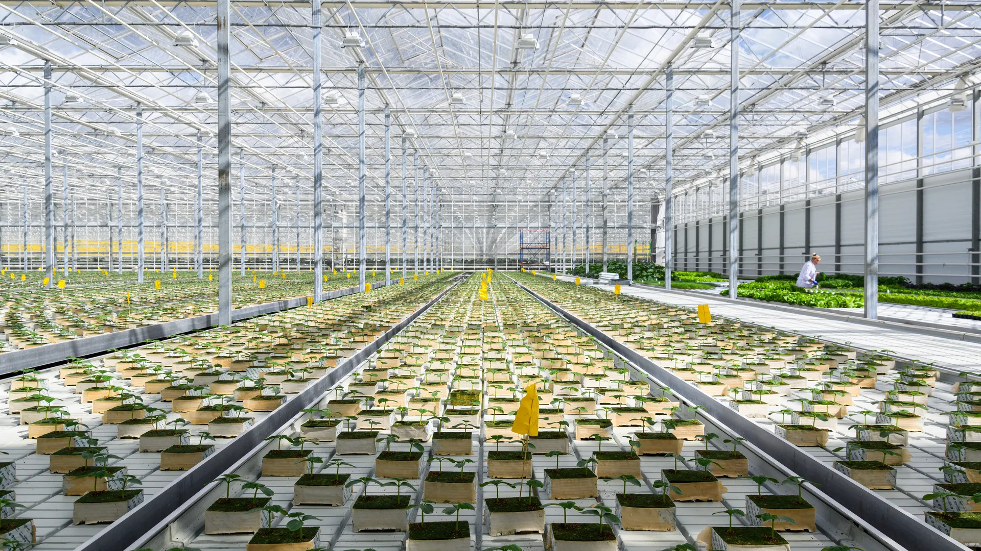 медиасток.рф