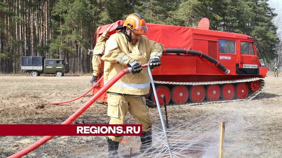 Фото: Александр Дрожжин