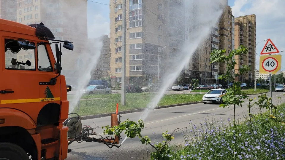 Фото: МедиаБанк Подмосковья/Валерия Тингаева