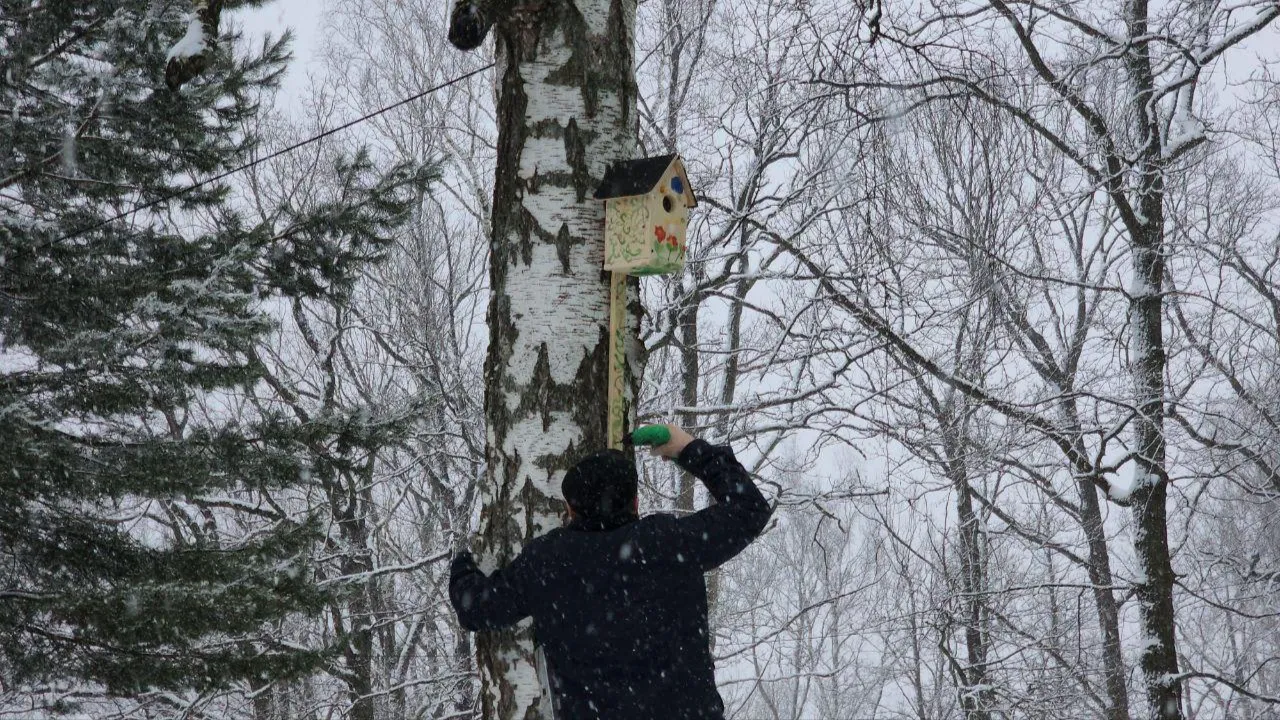МедиаБанк Подмосковья/Эдуард Стратонов