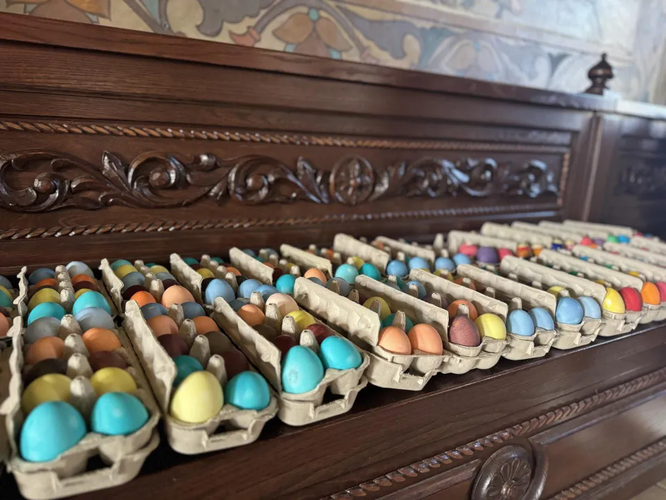 Фото: Полина Абраменко