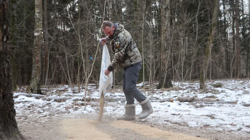 Фото: пресс-служба администрации г.о. Зарайск