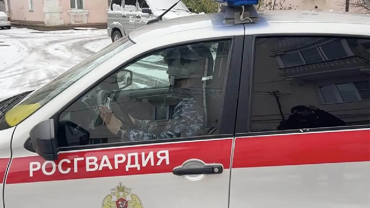 В Кемерове пенсионерка гуляла с собакой, пока ее разыскивала дочь с Росгвардией