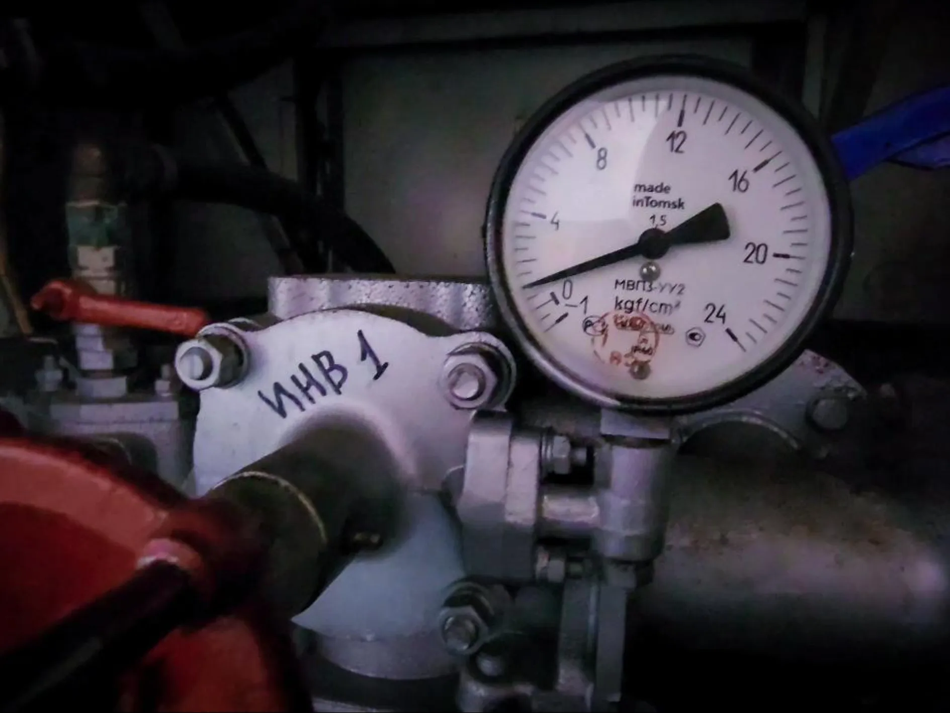 Фото: МедиаБанк Подмосковья/Ольга Антонова