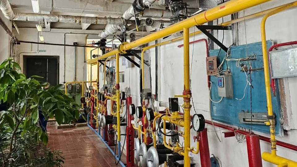 Фото: пресс-служба Администрации г.о. Ленинский