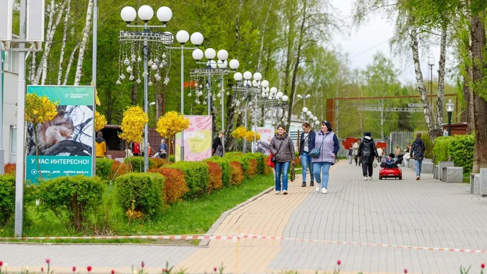 Фото: пресс-служба администрации г.о. Кашира