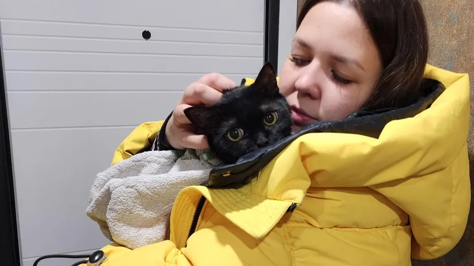 Фото: Ольга Антонова