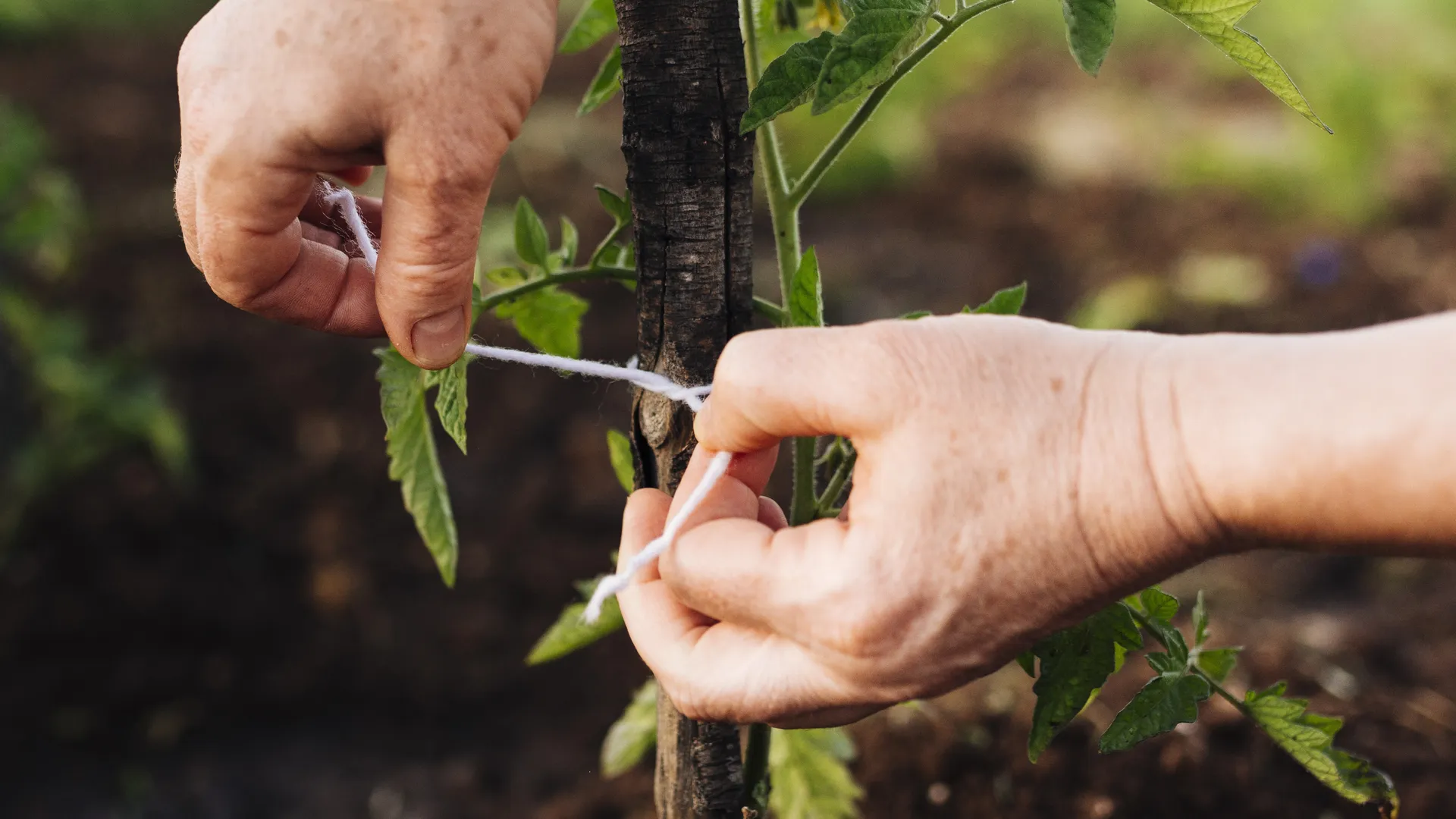 Фото: freepik.com