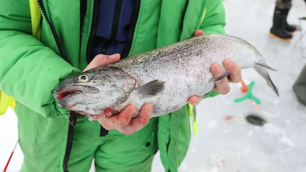 Фото: Щелковское телевидение