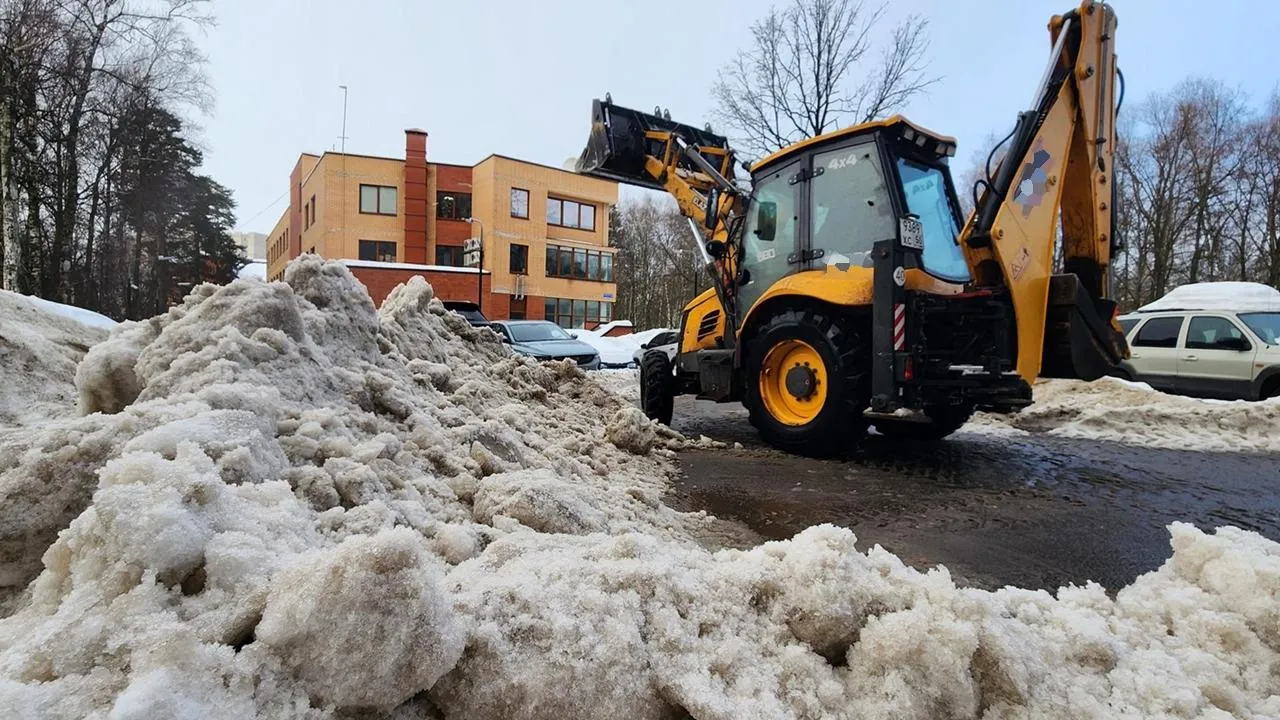 REGIONS/Анна Мороз