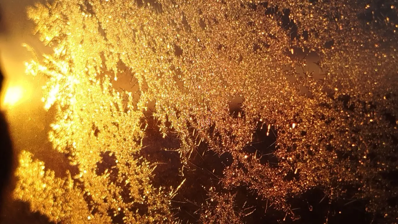 REGIONS/Юлия Куделькина