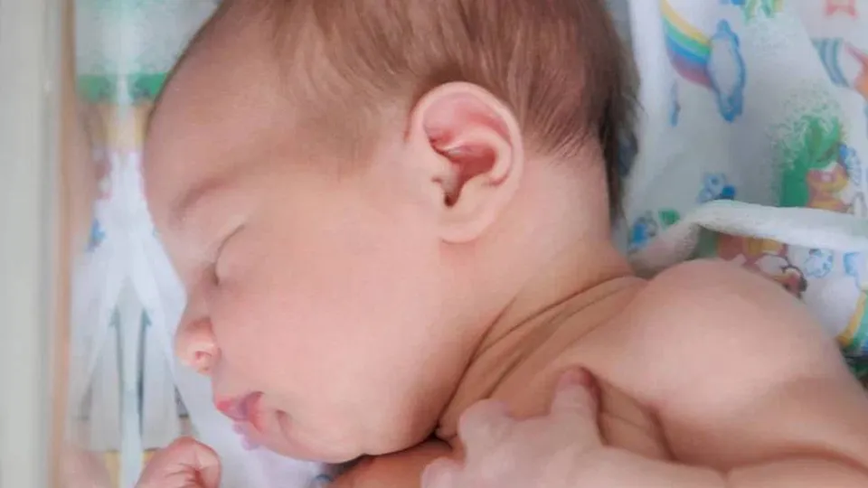 Фото: МОЦОМД