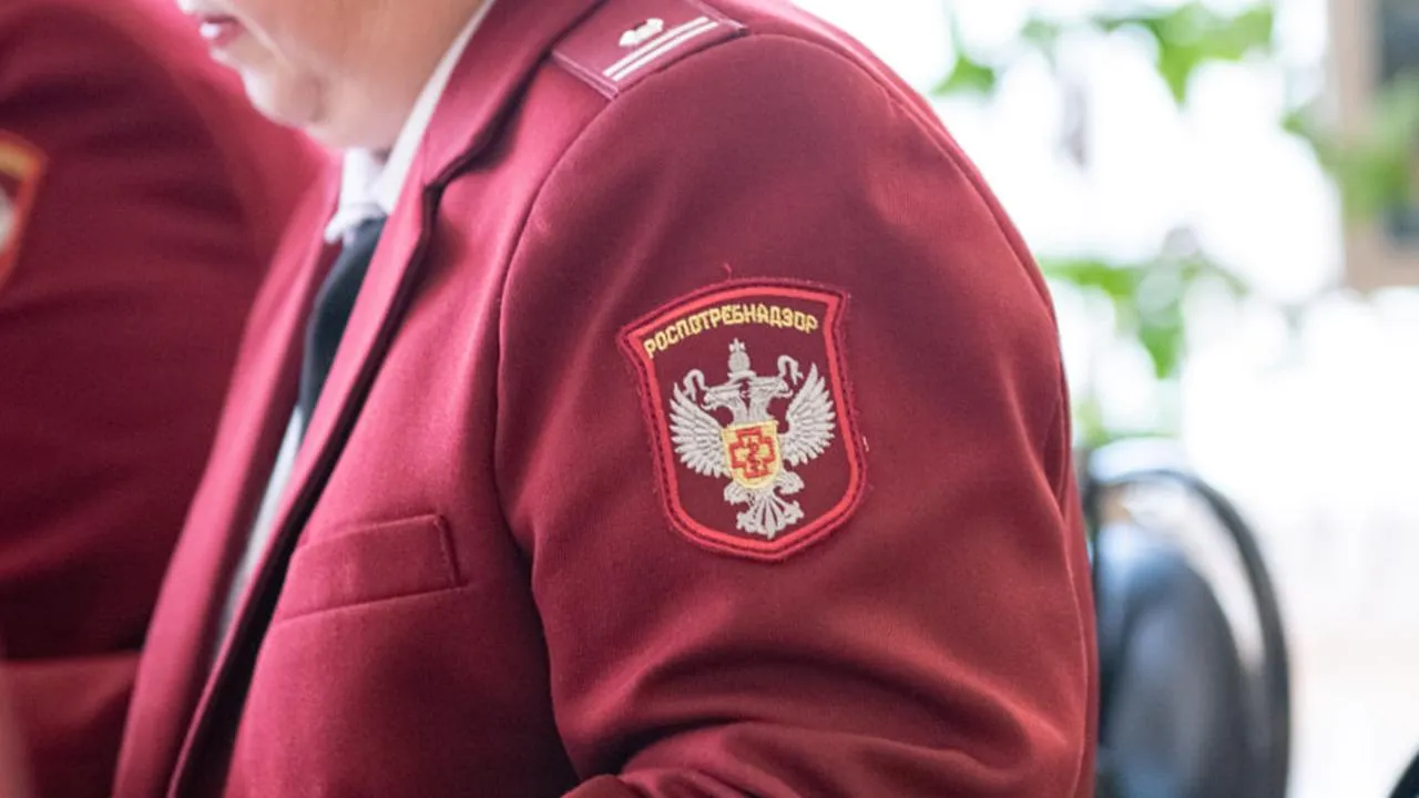 МедиаБанк Подмосковья/Антон Шаманин