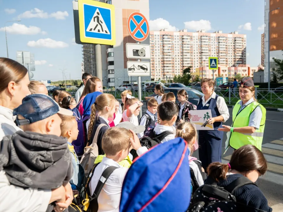 Фото: Госавтоинспекция УМВД России по г. о. Домодедово