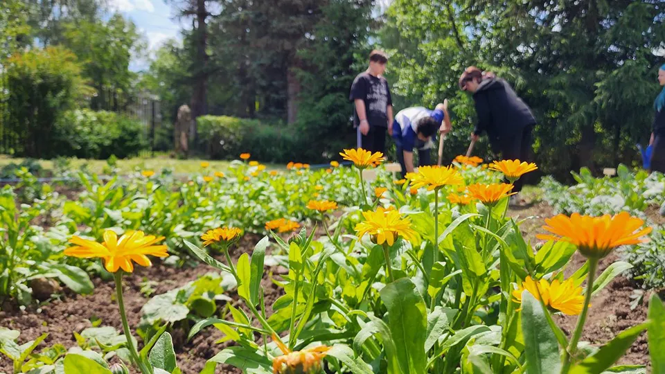 Фото: Андрей Семибратов