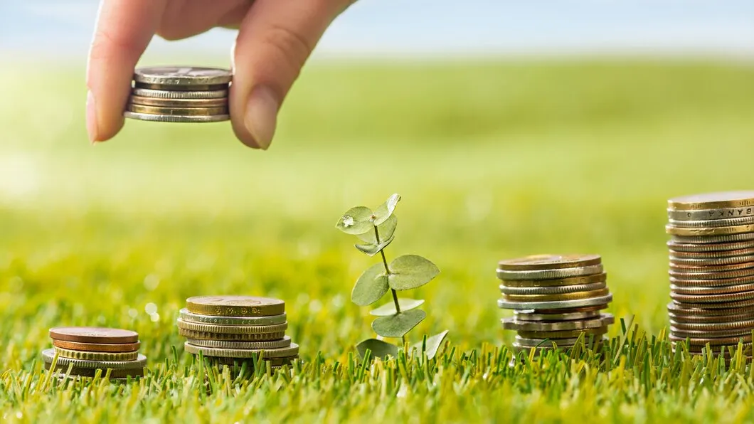 Фото: freepik.com