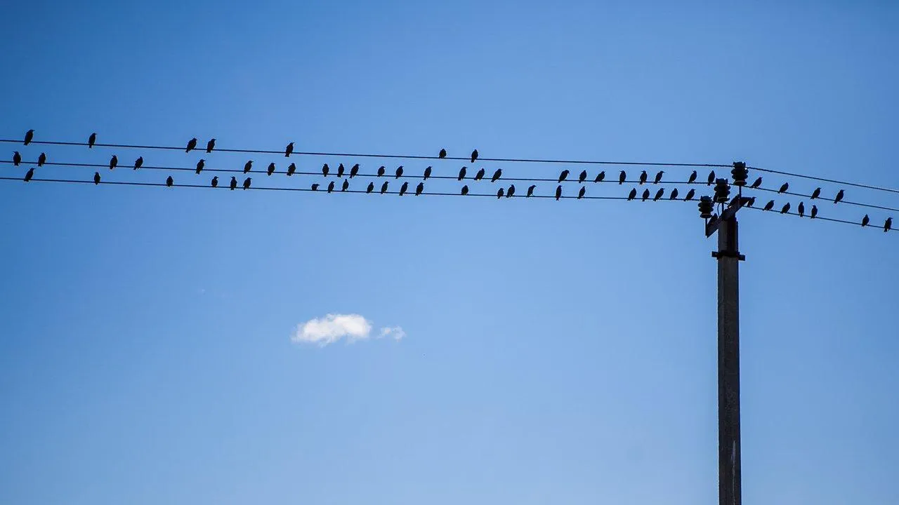 REGIONS/Роман Малышенко