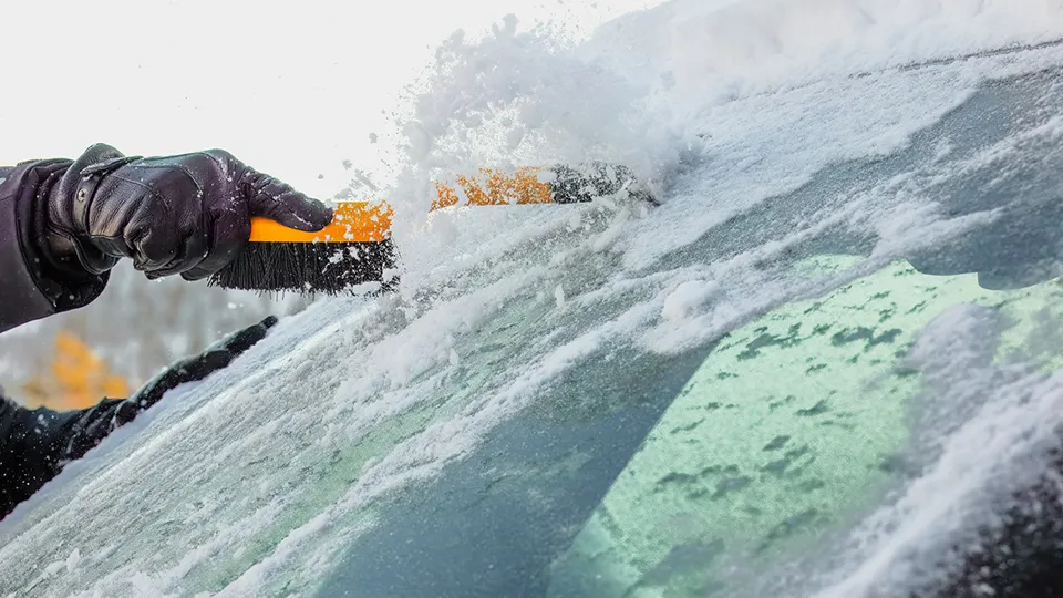 Фото: istockphoto.com/Photobes