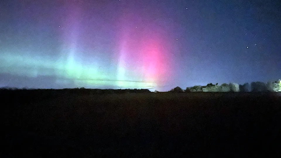 Фото: МедиаБанк Подмосковья/Дарья Леонова