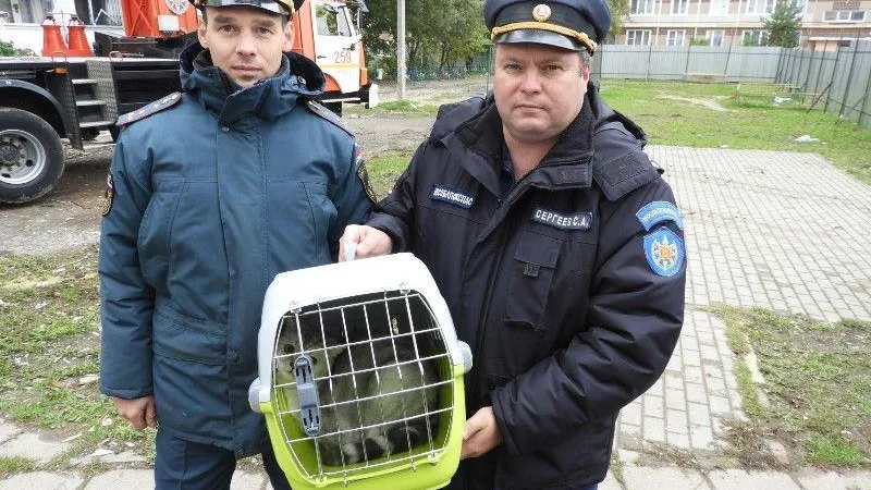 ГКУ МО "Мособлпожспас"