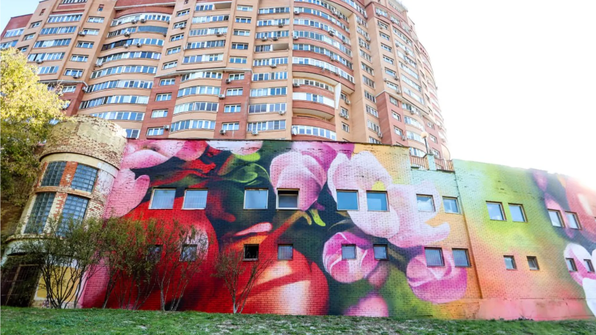 Фото: пресс-служба администрации г.о. Красногорск