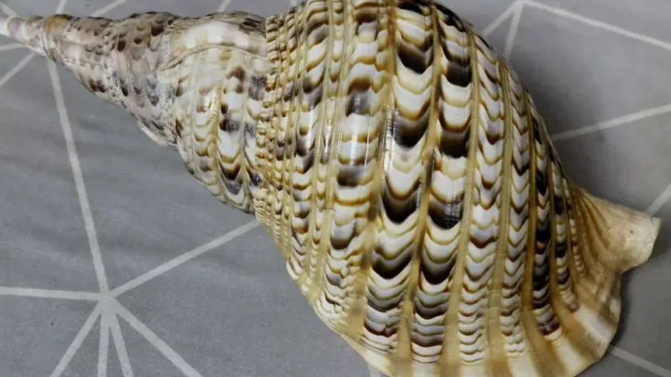 Фото: городская доска объявлений