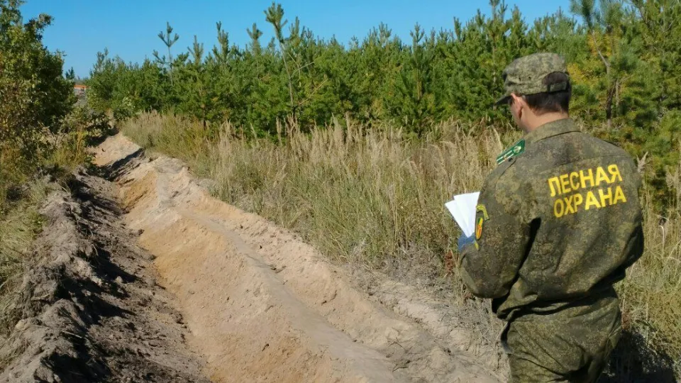 Фото: t.me/mosoblcomles