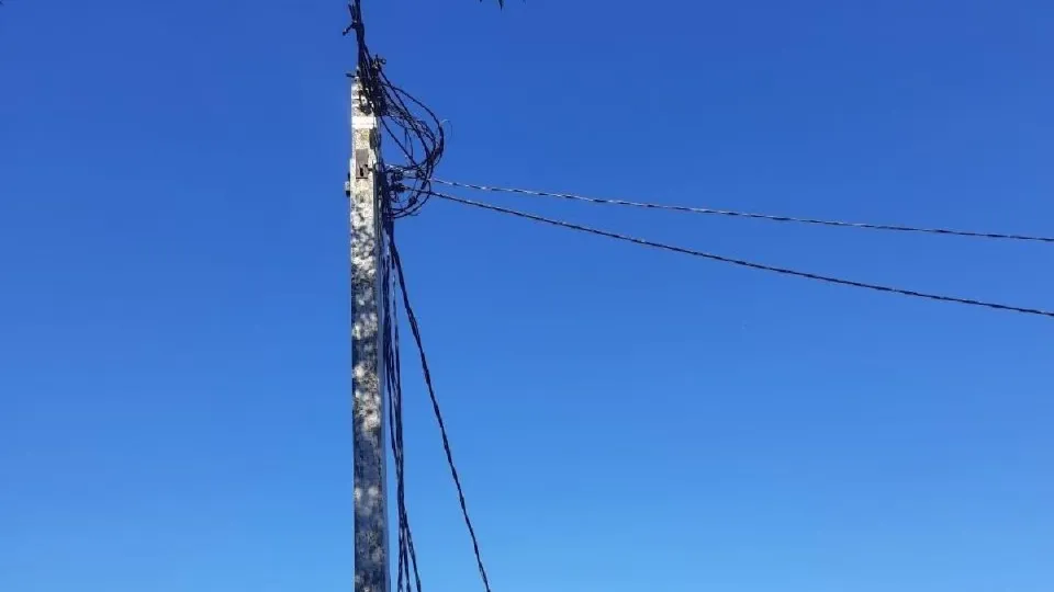 Фото: ПАО «Россети Московский регион»